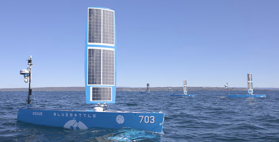 Bluebottle sail drone USV