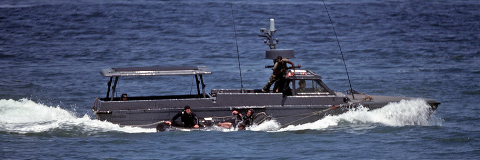 USN SeaFox